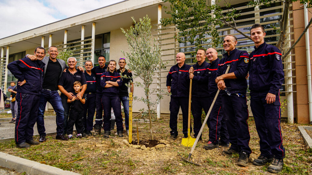 pompiers13.fr-actualités-1-er-projet-d-Ecosia-en-France-en-partenariat-avec-les-Pompiers13