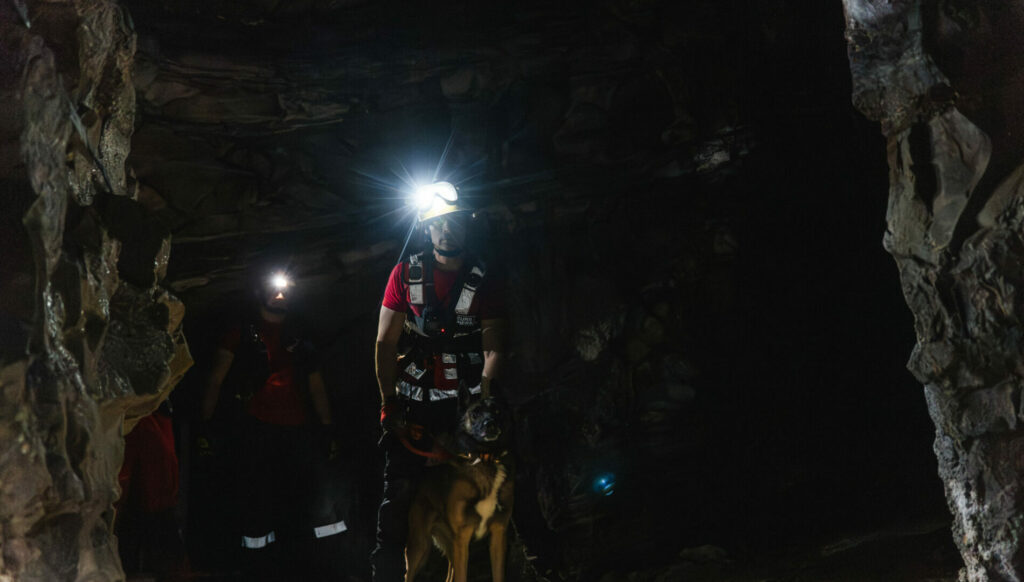 Exercice grandeur nature pour les équipes cyno des Pompiers13