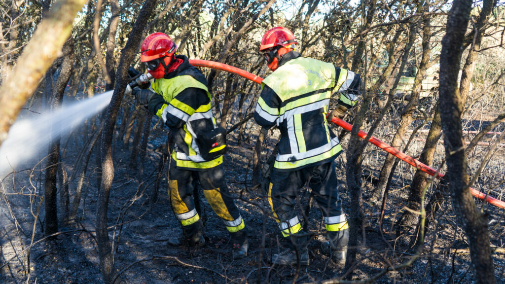Les Pompiers13 sont intervenus en début de soirée, jeudi 11 juin 2026, pour un départ de feu dans le secteur des Quatre Termes, à Saint-Cannat. Le sinistre s’est rapidement développé, la faute à un vent d’Est soutenu, menaçant la ligne LGV dans son axe de propagation. L’engagement rapide et massif d’engins de lutte terrestre, appuyé par trois Canadair, a permis de limiter la surface parcourue à moins de cinq hectares et ainsi de protéger l’axe ferroviaire.